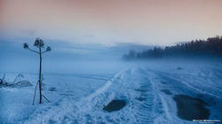 _DSC0088