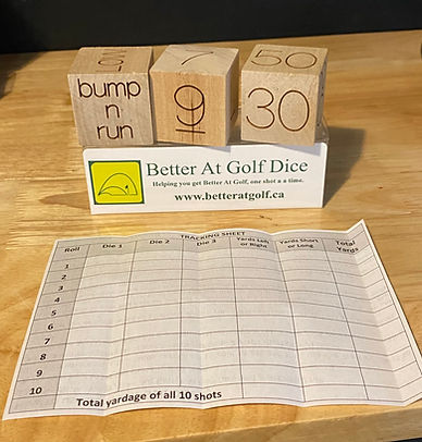 Golf Training Aid and a golf practice system to help golfers practice short game random golf shots