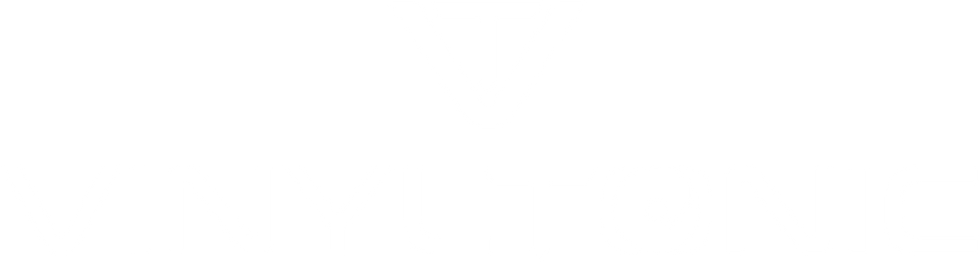 Vinyl Tonic Logo (1) (1).png