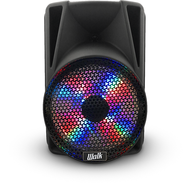 H116 - Wireless Party Speaker