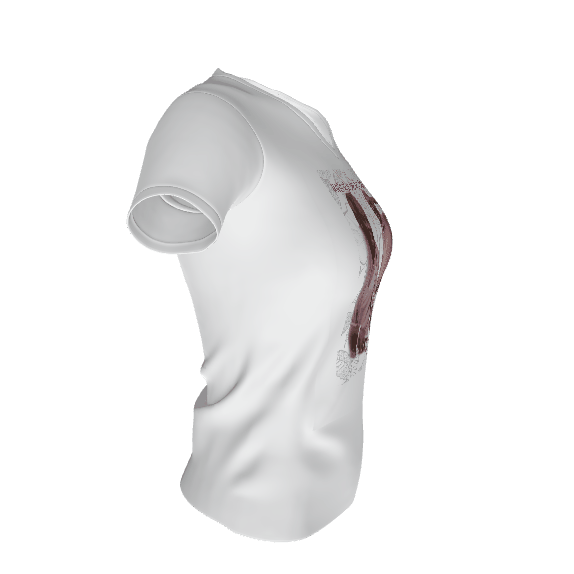 womens vneck tshirt.gif
