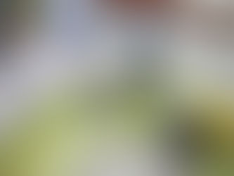 キッチン水栓取替~