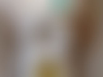 トイレつまり抜き