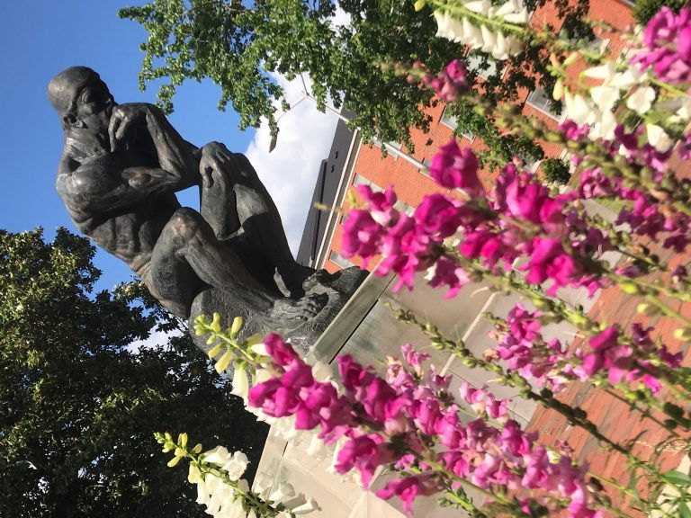 Exploring the grounds and future of Troy