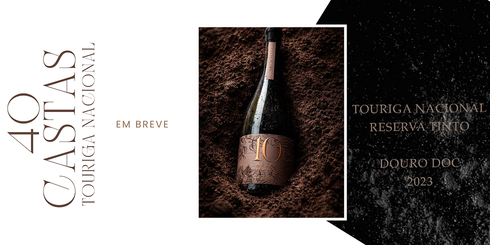 Banner Moda Feminina Loja Online Nova Coleção Elegante .png