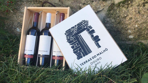 Caixas de Madeira 3 GFS Terras do Malhô Vinho Gift Pack Packaging Prenda