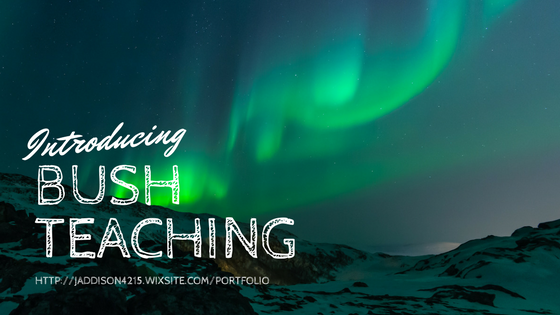 Bush Teaching: Vol. 1