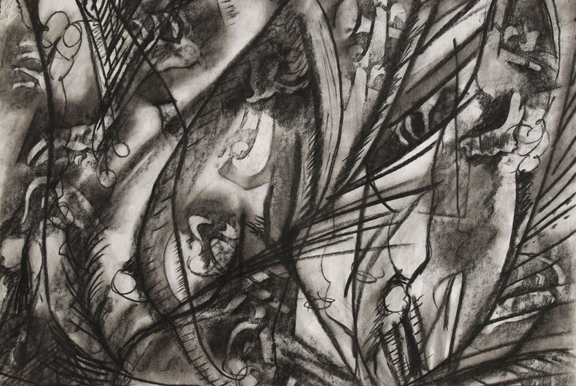 Night Garden #1 (Charcoal on paper, 24" x 18")