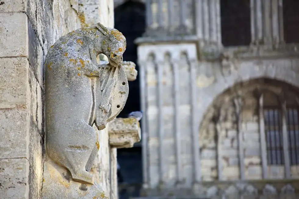 À Chartres, les pierres enseignent encore la musique du monde