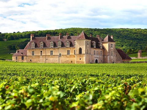 Swirl, Sniff, Sip: Mastering the Art of Enjoying a Perfect Wine Tour