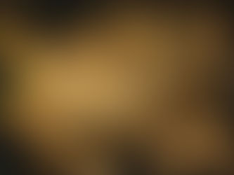 Wix SEO: Dominate Local Search with GEO Targeting