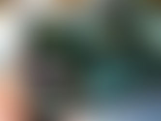 Scale Wix SEO with AI Blog Post Automation