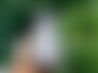 AI Blog Automation: Wix SEO & Answer Engine Content