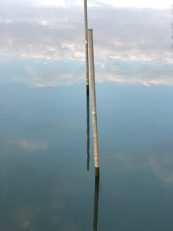 Wasser, Stöcke