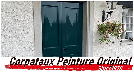 Restauration d'une porte d'entrée en émail vert SIKKENS.