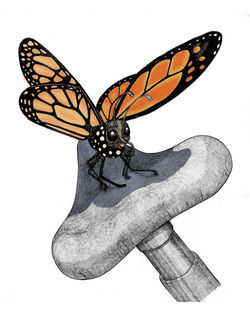 The talking butterfly