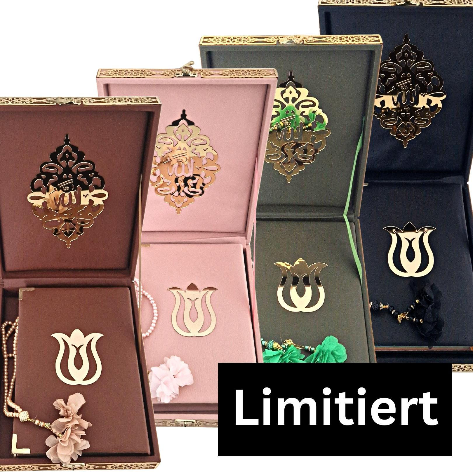 Big Kuran Box (10 Sprachen zum Hören)