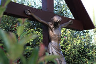 IMG_8594.jpeg