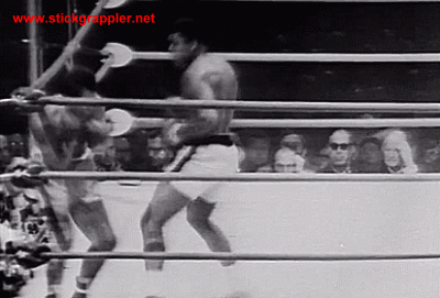 Budo | Martail Arts | Taekwondo | Karate-Do | Kung Fu | Black RYU | Grandmasster Jerry Bell | Muhammad Ali |Greatest Boxer of all time