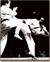 Budo | Martail Arts | Taekwondo | Karate-Do | Kung Fu | Black RYU | Grandmasster Jerry Bell
