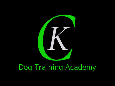 Boost Your Dog's Obedience with CK Training Programs
