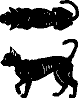 image2.gif