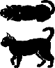 image3.gif