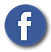 ICON facebook Pin