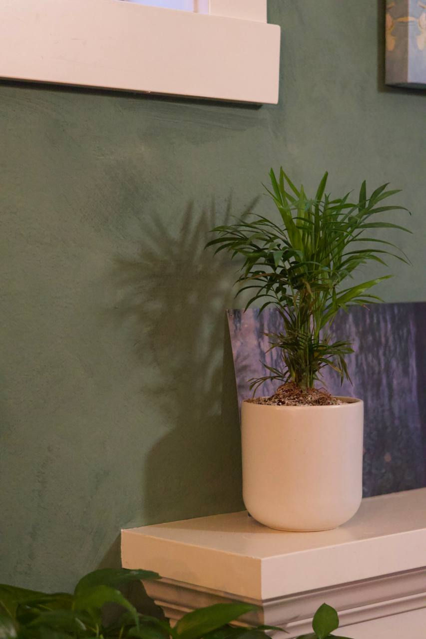 photo_2026-01-01_20-15-24