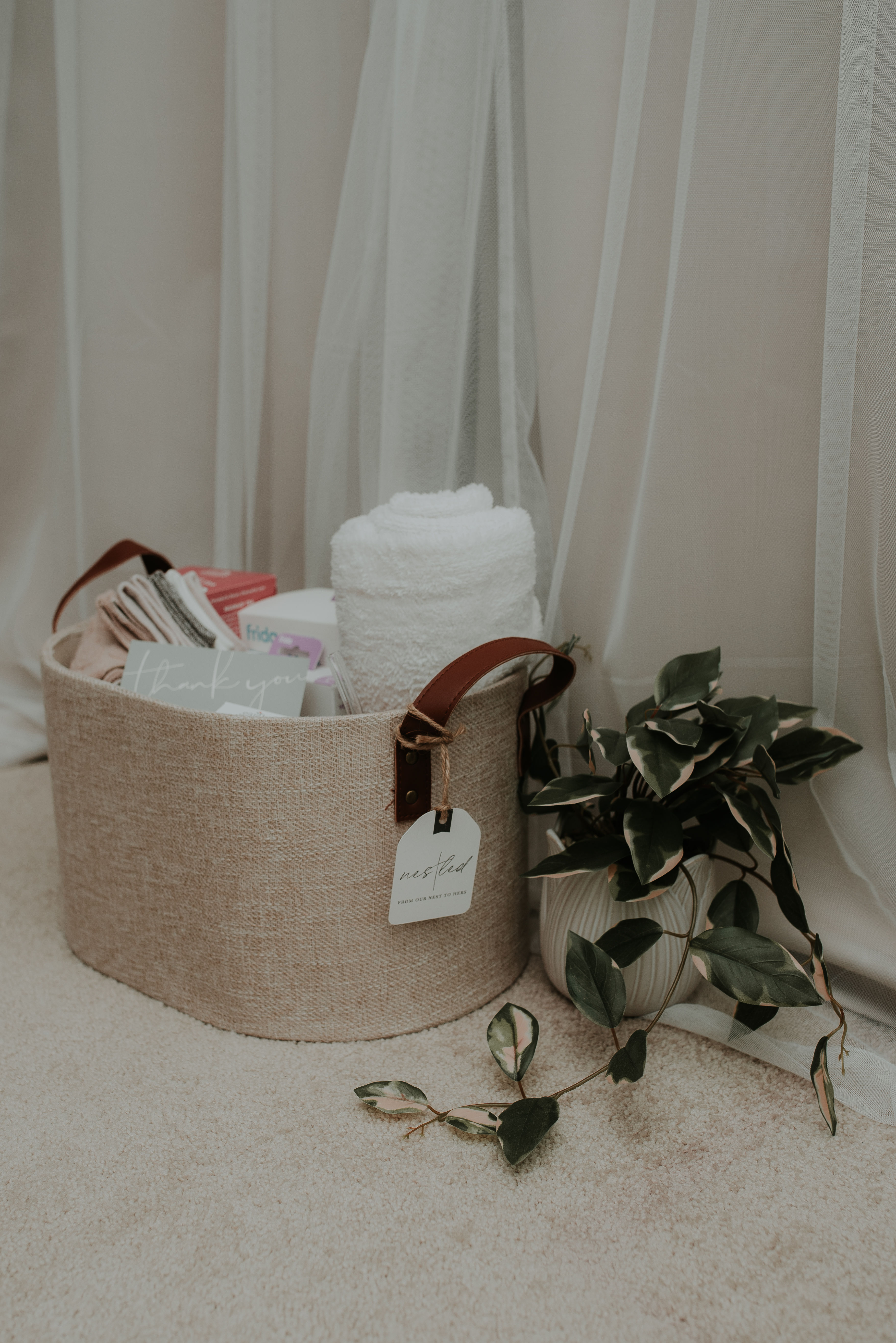 The Nourished Nest