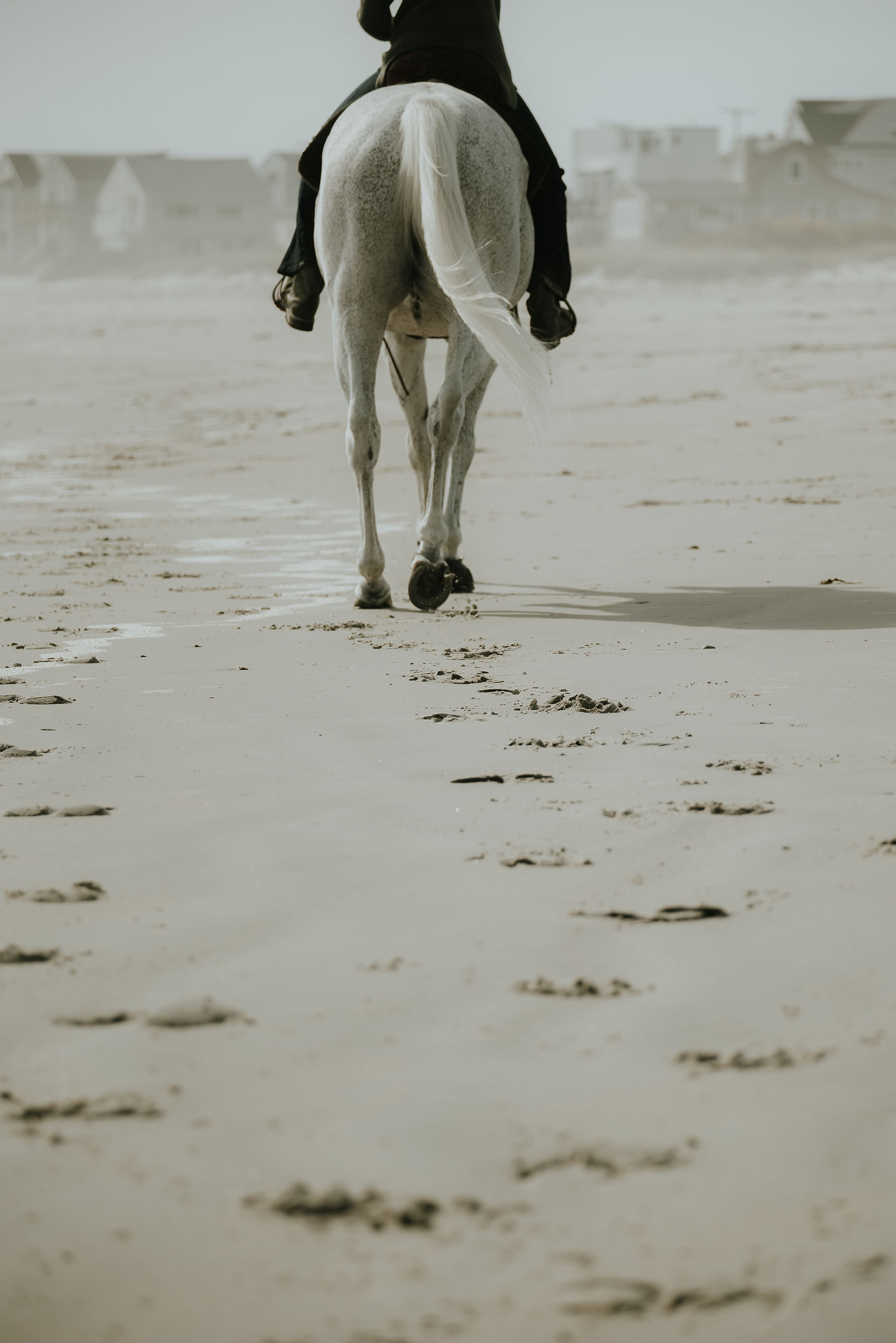 horse hoof prints in the sand at Wells Beach