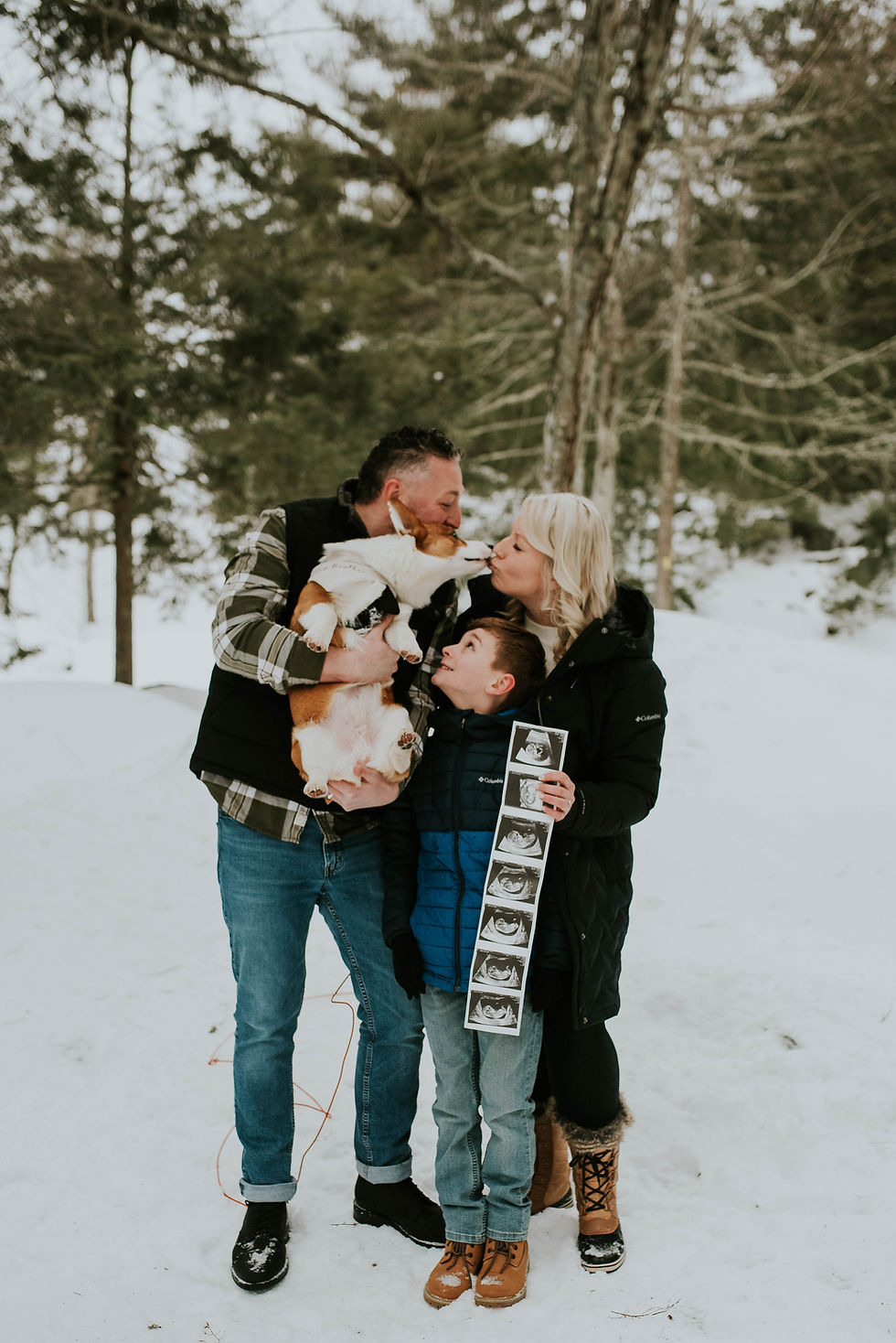 family with corgi announcing pregnancy in snowy winter forest