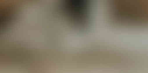 Horse running along Wells Beach during coastal photo session