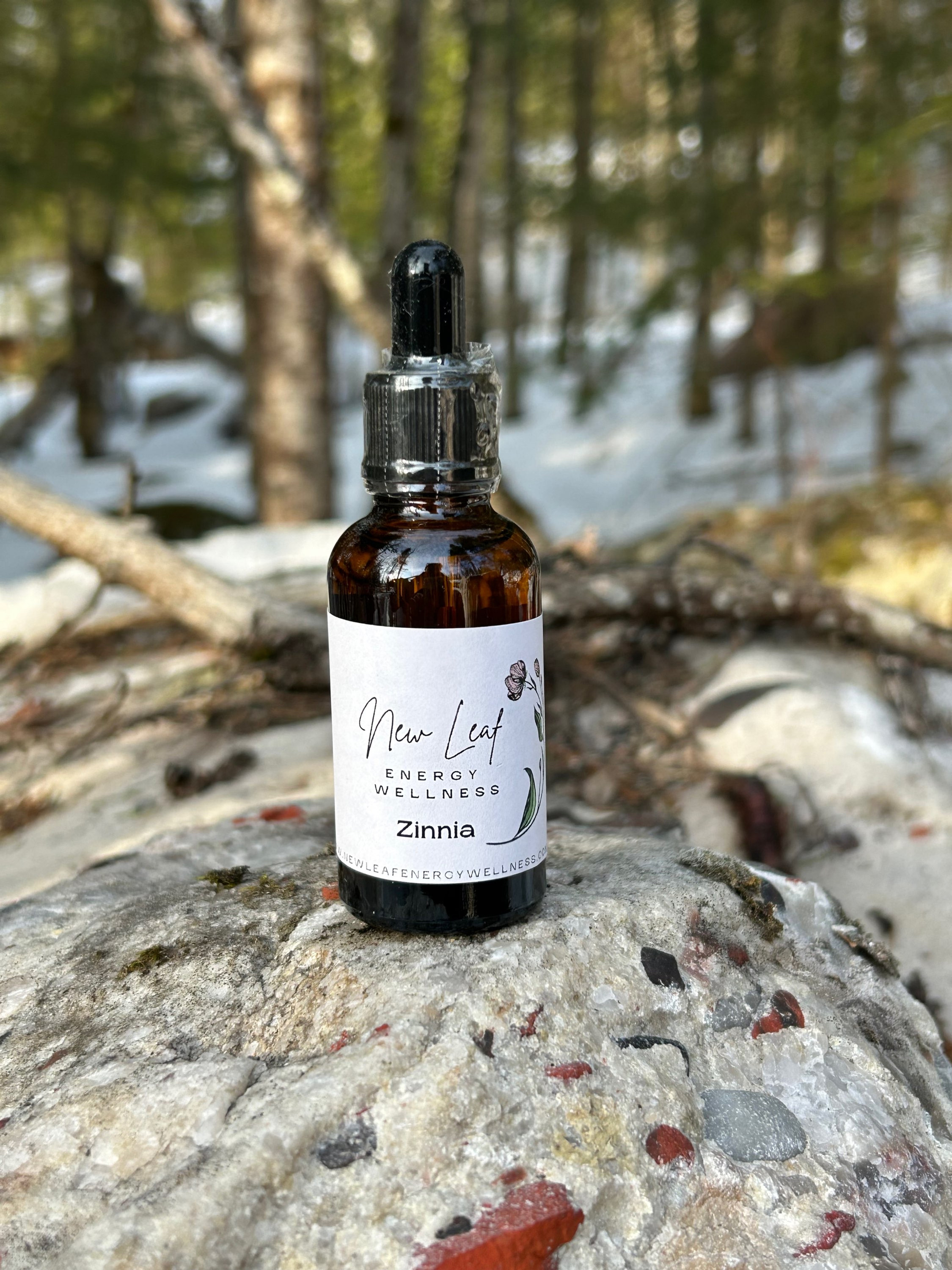 Zinnia Flower Essence