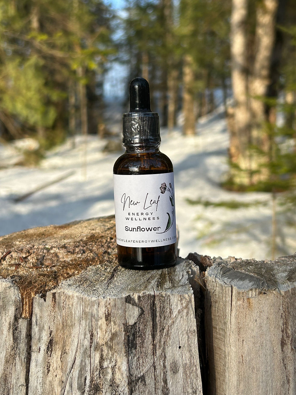 Thumbnail: Sunflower Flower Essence