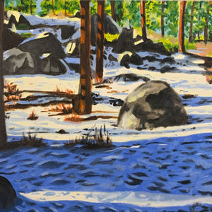 Tahoe Forest 