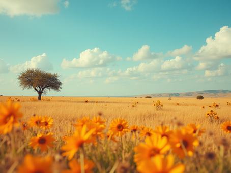 Discover and Purchase Anna Texas Art Prints: A Journey into Local Creativity