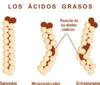 Nutricionista Barcelona