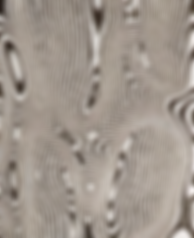 Screenshot 2025-11-13 at 18.51.51.png