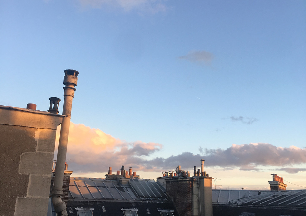 dorothee-flores-atelier-paris-toits-paris-vue.jpg