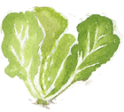 Salat_edited.png