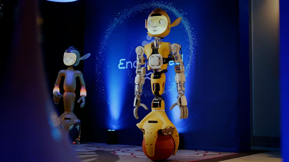 Mirokai-robots.jpg
