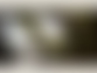 Puntos Ciegos en el Liderazgo