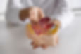 high-angle-doctor-explaining-anatomy.jpg