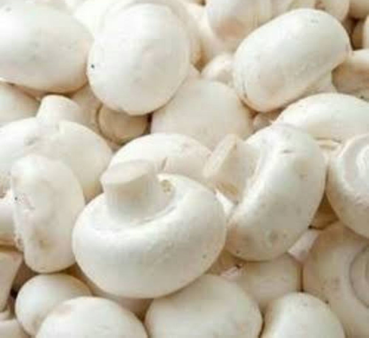 Fresh  button  mushrooms/200g.$3.00