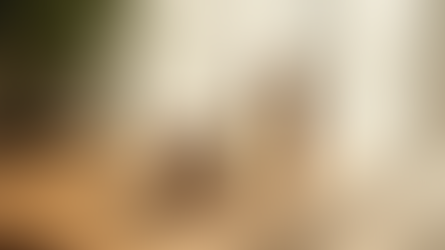 Beneficios de la Cosmética Coreana en Colombia