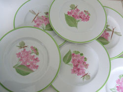 Hortensias et insectes