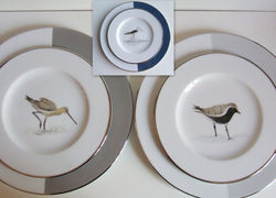 Oiseaux marins/filet platine