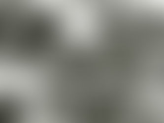 Love Meetings (1964) Film Okuması