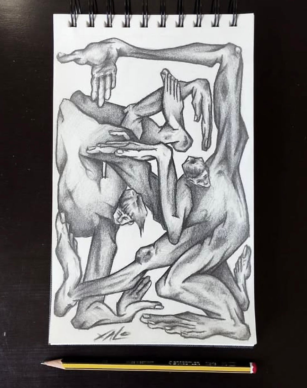 Dibujo a grafito